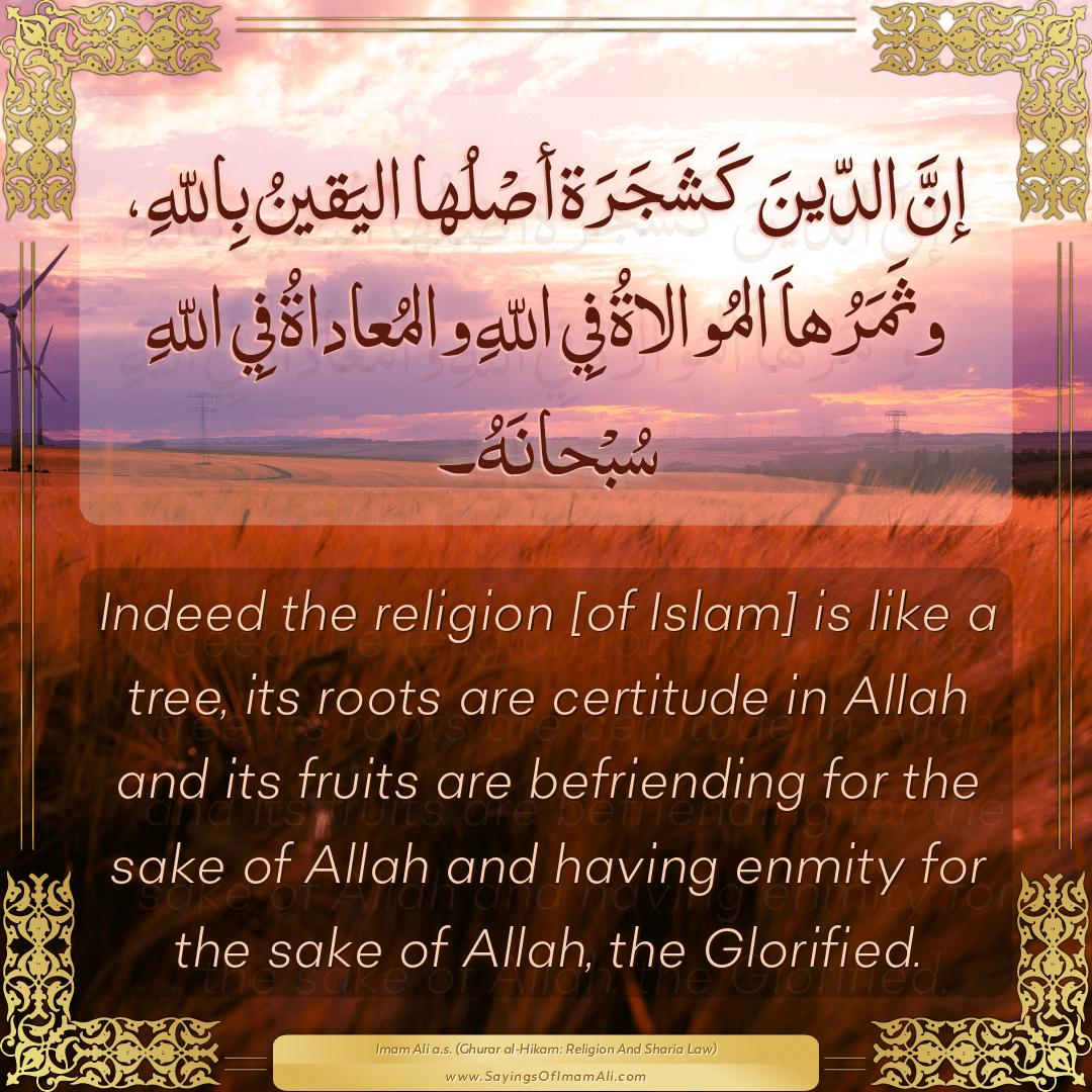 Indeed the religion [of Islam] is like a tree, its roots are certitude in...
